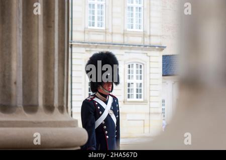 Kopenhagen, Koebenhavn: Königliche Garde, Wachwechsel vor Schloss Amalienborg, M16 Gewehr, in , Seeland, Sjaelland, Dänemark Stockfoto