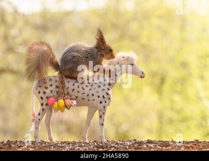 Rotes Eichhörnchen sitzt auf einem Pferd mit Eicheln Stockfoto