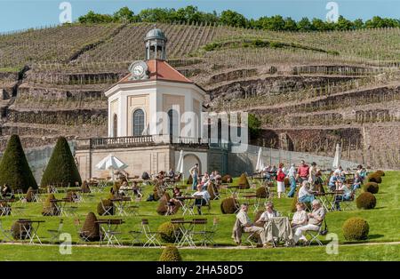 Belvedere-Gebäude des Sächsischen Staatsweingutes Schloss Wackerbarth in Radebeul, Sachsen, Deutschland Stockfoto