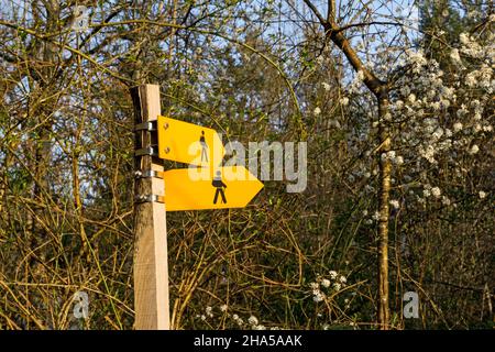 Wanderweg Richtungsschilder an Kreuzungen in einem Wald Stockfoto