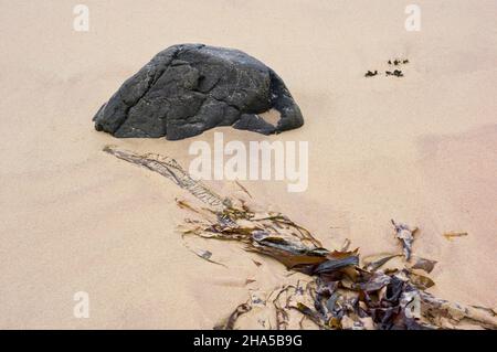 europa, Nordirland, Grafschaft antrim, Causeway-Küste, Gezeitenzone, Stein mit String am Sandstrand Stockfoto