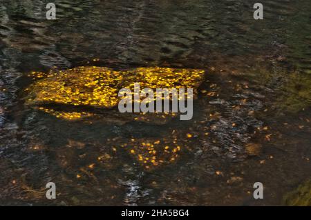 europa, republik irland, Grafschaft donegal, glenveagh-Nationalpark, Geldstein im glenveagh-Fluss Stockfoto