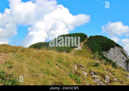 Aufstieg zum bärenkopf (1991m),Felswand,Wanderweg,steinig,Wanderer auf den letzten Metern zum Gipfel,im Hintergrund Gipfelkreuz,blauer Himmel,achensee,tirol,österreich Stockfoto