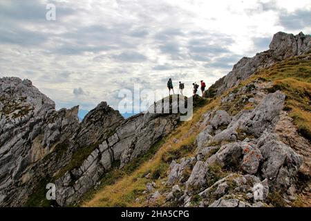 Junge Frauen auf Bergtour über den mittenwalder höhenweg zur Brunnsteinspitze,deutschland,bayern,oberbayern,mittenwald, Stockfoto