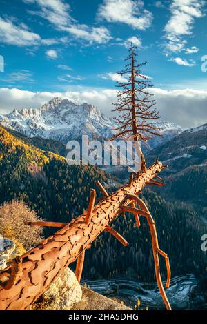 Blick auf den monte civetta vom aussichtspunkt von colle santa lucia aus, mit der eisernen Skulptur von valentino moro, die die Wiedergeburt nach dem Vaia-Sturm symbolisiert, der Hektar Wald in den dolomiten, colle santa lucia, belluno, veneto, italien zerstörte Stockfoto