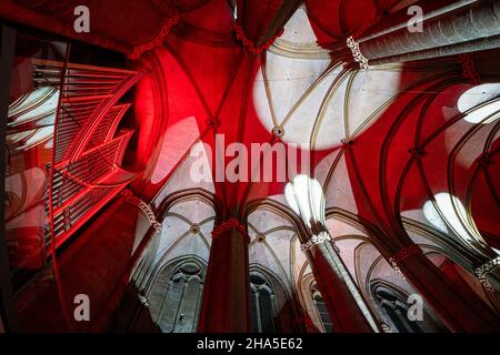 Beleuchtete elisabethkirche auf dem weihnachtsmarkt & marburg b (U) y night, hessen, deutschland Stockfoto