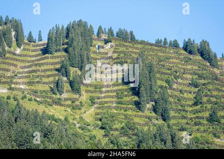 österreich,kleinwalsertal,Lawinenschutz bei mittelberg. Stockfoto