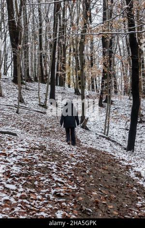 Eine Frau geht einsam durch einen leicht verschneiten Wald. Stockfoto