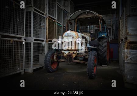 Alter eicher 'königstiger' (Königstiger) em300 Traktor, Oldtimer, Jahrgang, metzingen, baden-württemberg, deutschland Stockfoto