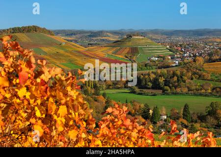 Burgruine Weibertreu,weinsberg,baden-württemberg,deutschland Stockfoto