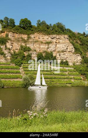 Blick über den neckar auf die Krabbenfelsen,lauffen am neckar,baden-württemberg,deutschland Stockfoto
