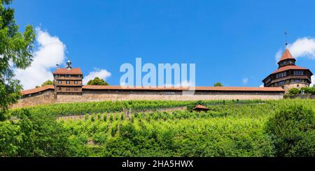 esslinger Burg,esslingen am neckar,baden-württemberg,deutschland Stockfoto