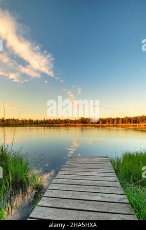 riedsee bei Sonnenuntergang,wurzach Schilf,Hochmoor,Bad wurzach,oberschwaben,baden-württemberg,deutschland Stockfoto