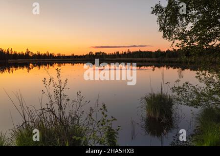 riedsee bei Sonnenuntergang,wurzach Schilf,Hochmoor,Bad wurzach,oberschwaben,baden-württemberg,deutschland Stockfoto