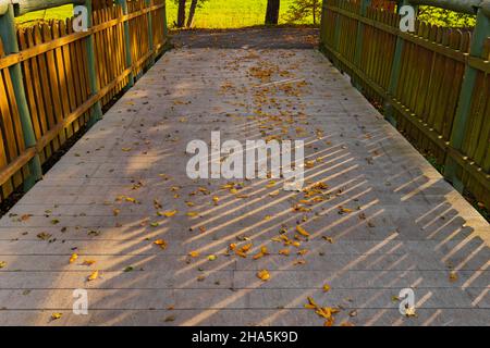 Kleine Brücke für Radfahrer im Herbst, Herbstlaub auf der Fahrbahn Stockfoto
