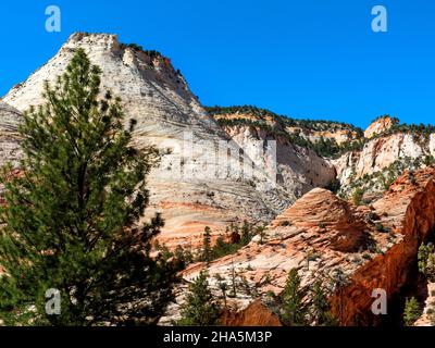 Checkboard Mesa entlang des Mount Carmel Highway, Zion National Park, Utah Stockfoto