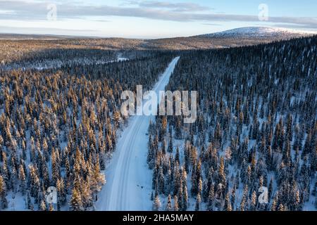 Winterwald, verschneite Straße, in lappland, finnland Stockfoto