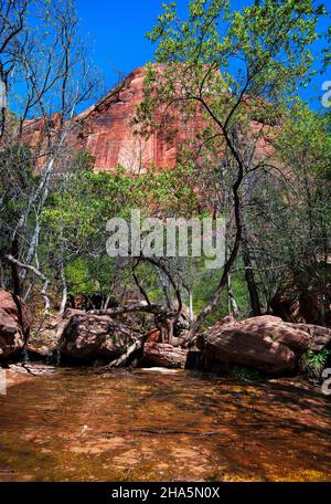 Emerald Pools sind drei reizende Pools, die sich durch einen wunderschönen Side Canyon im Zion National Park, Utah, stürzen Stockfoto