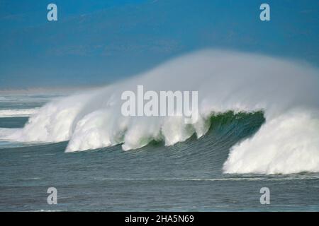 Wellenreiten in sandown Bay, westlichem Kap, Südafrika. Stockfoto