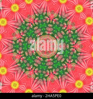 mandala, Blüten, Stockfoto