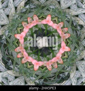 mandala, Blüten, Stockfoto