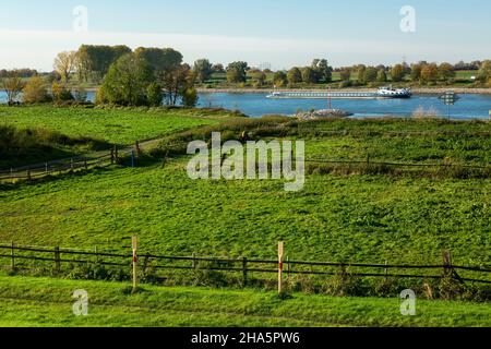 deutschland,monheim am rhein,bergisches Land,niederbergisches Land,niederberg,rheinland,Nordrhein-westfalen,Nordrhein-westfalen,rheinlandschaft,Weideland,Wiesenlandschaft,Blick vom dormagen auf das Rheinufer,Frachtschiff Stockfoto