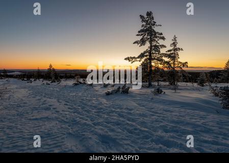 Sonnenuntergang, Baumgrenze, pallastunturi, muonio, lappland, finnland Stockfoto