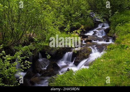 Fluss in den Bergen, umgeben von üppigem Grün Stockfoto