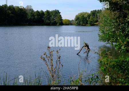 Steinbruchteiche bei Dörfleins, Teil des Life-Natur-Projekts oberes Haupttal, Stadt hallstadt, Landkreis bamberg, oberfranken, franken, bayern, deutschland Stockfoto