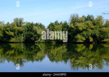 Steinbruchteiche bei Dörfleins, Teil des Life-Natur-Projekts oberes Haupttal, Stadt hallstadt, Landkreis bamberg, oberfranken, franken, bayern, deutschland Stockfoto