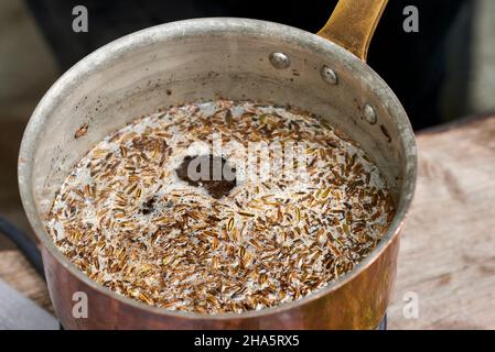 Arbeitsschritte mit Fenchel- und Fenchelsamen zur Herstellung von Fenchelsaft, Blick in einen Kupfertopf mit Fenchelsamen in einer Rohrzuckerlösung Stockfoto