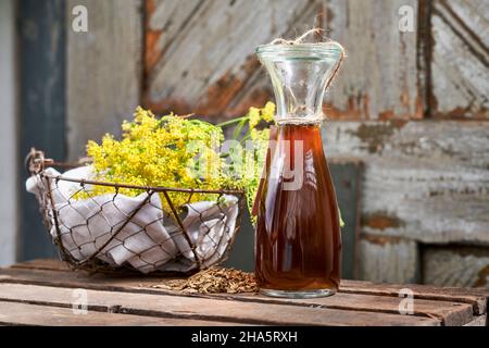 Arbeitsschritte mit Fenchel- und Fenchelsamen zur Herstellung von Fenchelsaft, Drahtkorb mit Fenchelsamen und weck-Flasche mit Fenchelsaft auf einem Holztisch vor einer alten Holztür Stockfoto