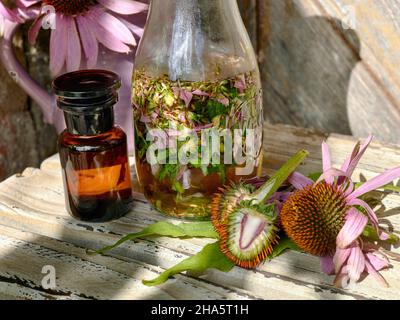 Konelblüten- oder Echinacea-Tinktur in einer braunen Apothekenflasche, eine Weckflasche mit zerdrücktem Echinacea und zwei Echinacea-Blüten, von denen eine in zwei Hälften geschnitten ist, auf einem Holztisch vor einem Krug mit weiteren Blumen und einer Holztür Stockfoto