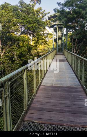 Baldachin Beobachtungsturm im Rainforest Discovery Center in Sepilok, Sabah, Malaysia Stockfoto