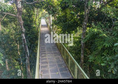 Baldachin Beobachtungsbrücke im Rainforest Discovery Center in Sepilok, Sabah, Malaysia Stockfoto