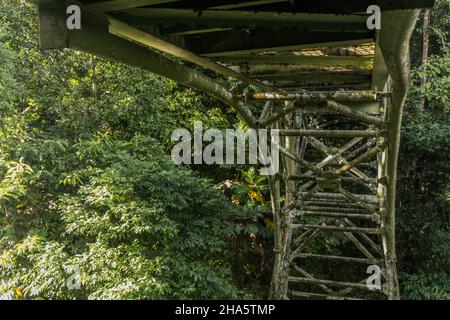 Baldachin Beobachtungsbrücke im Rainforest Discovery Center in Sepilok, Sabah, Malaysia Stockfoto