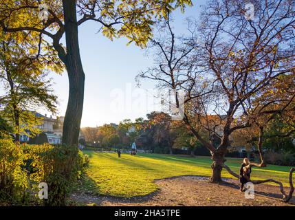 wien,Park stadtpark,Frau am Baum genießt letzten Sonnenschein des Tages,Herbstfarben,Blick auf den kursalon hübner im Jahr 01. Altstadt,wien,österreich Stockfoto