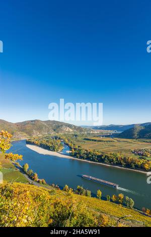 dürnstein, Donauknie bei weißenkirchen, Blick auf dürnstein, Kreuzschiff, Weinberg in wachau, niederösterreich, österreich Stockfoto