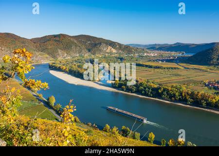 dürnstein, Donauknie bei weißenkirchen, Blick auf dürnstein, Kreuzschiff, Weinberg in wachau, niederösterreich, österreich Stockfoto