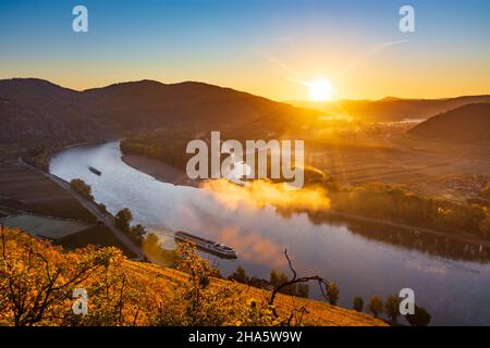 dürnstein, Donauknie bei weißenkirchen, Blick auf dürnstein, Kreuzschiff, Weinberg in wachau, niederösterreich, österreich Stockfoto