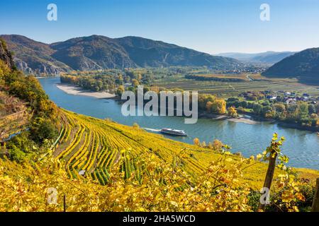 dürnstein, Donauknie bei weißenkirchen, Blick auf die Abtei dürnstein und göttweig, Kreuzschiff, Weinberg in wachau, niederösterreich, österreich Stockfoto