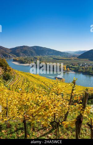 dürnstein, Donauknie bei weißenkirchen, Blick auf die Abtei dürnstein und göttweig, Kreuzschiff, Weinberg in wachau, niederösterreich, österreich Stockfoto