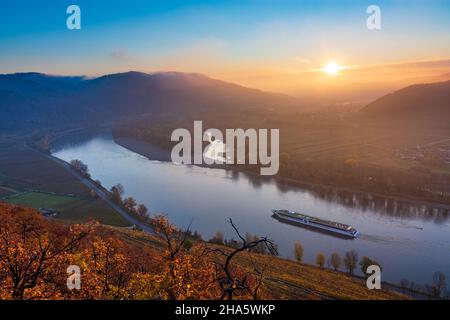 weißenkirchen in der wachau, Donauknie bei weißenkirchen, Sonnenaufgang, Blick auf dürnstein, Kreuzschiff, Weinberg in wachau, niederösterreich, österreich Stockfoto