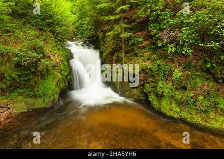 geroldsauer wasserfall,baden-baden,Schwarzwald,baden-württemberg,deutschland Stockfoto