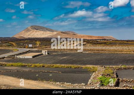 Landwirtschaft in der Vulkanlandschaft,in der Nähe von mancha blanca,tinajo,hinter den Vulkanen montana Caldera blanca,458 m,und montana Caldereta,Nationalpark Los volcanes,parque natural de los volcanes,Naturschutzgebiet,lanzarote,Kanaren,kanarische Inseln,spanien,europa Stockfoto