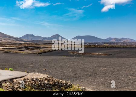 Landwirtschaft in der Vulkanlandschaft, in der Nähe von mancha blanca, tinajo, hinter den Vulkanen des timanfaya Nationalparks, lanzarote, Kanaren, kanarische Inseln, spanien, europa Stockfoto