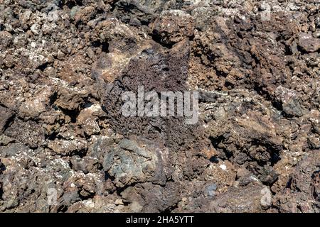 Erstarrte Lava, timanfaya Informations- und Besucherzentrum, mancha blanca, Centro de visitantes e interpretación, lanzarote, Kanaren, kanarische Inseln, spanien, europa Stockfoto