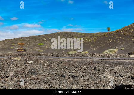 Einsame Palme, Eingang zum nationalpark timanfaya, Eingangsschild, Teufelsskulptur el diablo, Logo entworfen von césar manrique, nationalpark timanfaya, Vulkan Montana los miraderos, parque nacional de timanfaya, montanas del fuego, lanzarote, kanarische Inseln, kanarische Inseln, spanien, europa Stockfoto