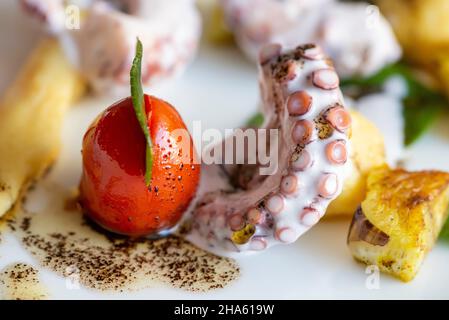 italien,trentino-Südtirol,altadige,Südtirol,eisacktal,sterzing,Altstadt,burkhard bacher Gourmet-Restaurant 'kleine Flamme',Weichkartoffeln und Oktopus - Aubergine - Kokosnusscreme - Kaffeeöl Stockfoto