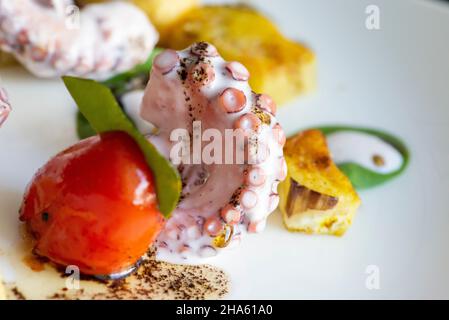 italien,trentino-Südtirol,altadige,Südtirol,eisacktal,sterzing,Altstadt,burkhard bacher Gourmet-Restaurant 'kleine Flamme',Weichkartoffeln und Oktopus - Aubergine - Kokosnusscreme - Kaffeeöl Stockfoto